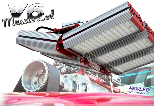 V6 Muscle LED
