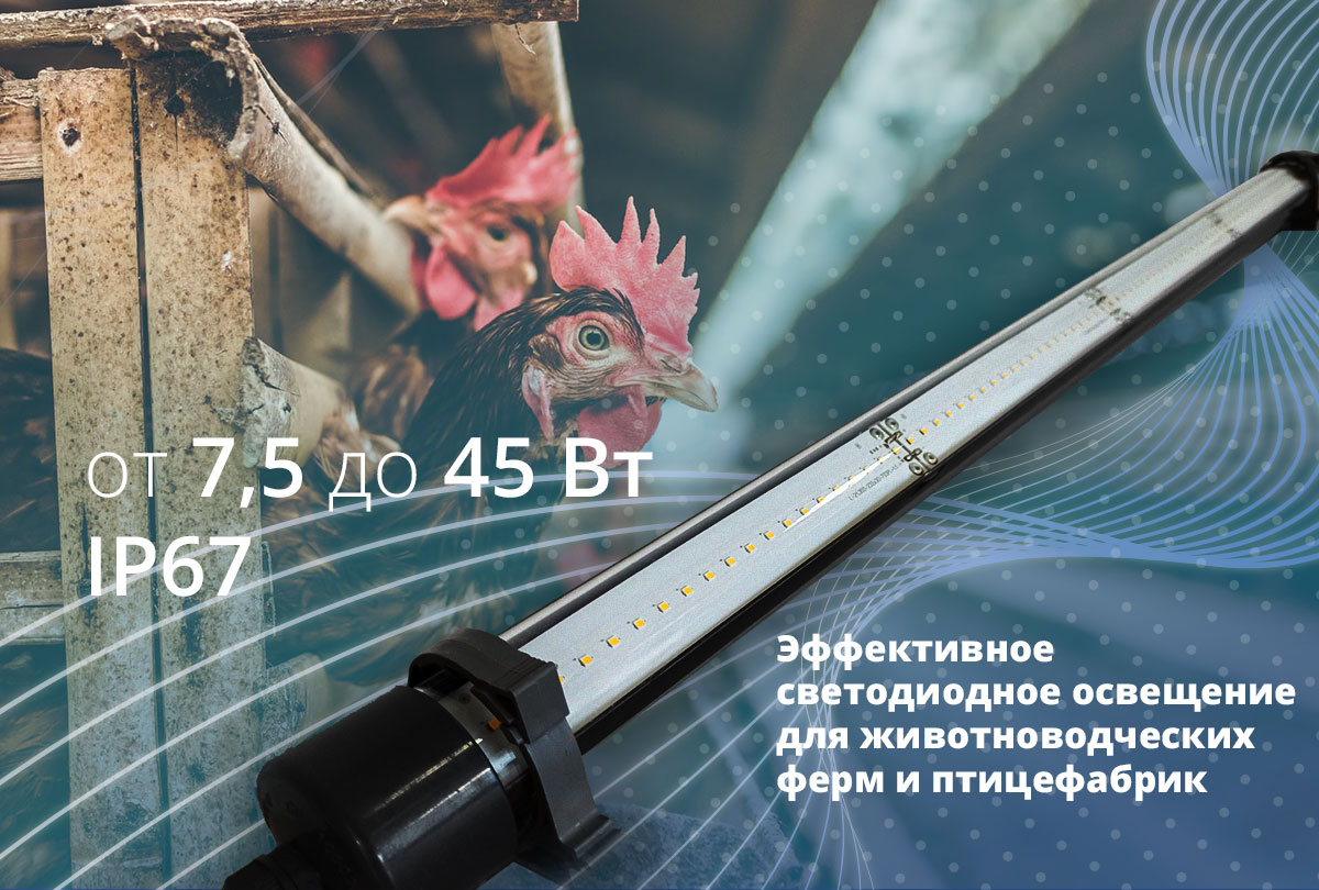 Новые светильники для животноводческих хозяйств и птицефабрик Новые светильники для животноводческих хозяйств и птицефабрик